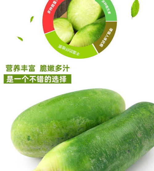 綠意盎然·至純?cè)?| 商丘沙窩青蘿卜·水果型生鮮蔬菜5斤裝體驗(yàn)